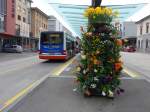 (149'715) - Blumenschmuck beim Bahnhof Frauenfeld am 21.