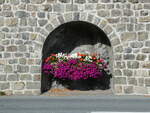 (241'090) - Blumenschmuck in der Mauer am 12.