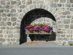 (241'092) - Blumenschmuck in der Mauer am 12.