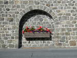 (241'093) - Blumenschmuck in der Mauer am 12.