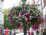 (254'601) - Blumenschmuck am 1.