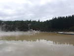 (191'073) - Der Champagne Pool im Wai-O-Tapu Thermal Wonderland am 23.