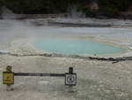 (191'125) - Der Oyster Pool im Wai-O-Tapu Thermal Wonderland am 23.