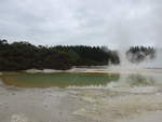 (191'174) - See im Wai-O-Tapu Thermal Wonderland am 23.