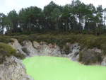(191'195) - Der Devil's Bath im Wai-O-Tapu Thermal Wonderland am 23.