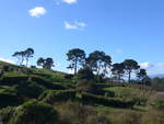 (190'902) - Hobbiton-Landschaft am 22.