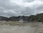 (191'066) - Der Champagne Pool im Wai-O-Tapu Thermal Wonderland am 23.