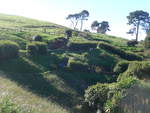 (190'903) - Hobbiton-Landschaft mit H�usern am 22.