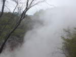 (191'020) - Im Wai-O-Tapu Thermal Wonderland am 23.