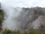(191'021) - Im Wai-O-Tapu Thermal Wonderland am 23.