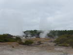 (191'026) - Im Wai-O-Tapu Thermal Wonderland am 23.