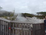 (191'033) - Im Wai-O-Tapu Thermal Wonderland am 23.