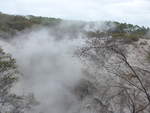(191'038) - Im Wai-O-Tapu Thermal Wonderland am 23.