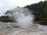 (191'057) - Im Wai-O-Tapu Thermal Wonderland am 23.
