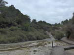 (191'099) - Bach im Wai-O-Tapu Thermal Wonderland am 23.