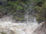(191'101) - Im Wai-O-Tapu Thermal Wonderland am 23.