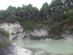(191'112) - See und Felsen im Wai-O-Tapu Thermal Wonderland am 23.
