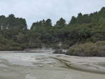 (191'123) - Im Wai-O-Tapu Thermal Wonderland am 23.