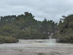 (191'130) - Im Wai-O-Tapu Thermal Wonderland am 23.