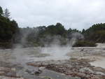 (191'131) - Im Wai-O-Tapu Thermal Wonderland am 23.