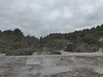 (191'132) - Im Wai-O-Tapu Thermal Wonderland am 23.