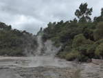 (191'135) - Im Wai-O-Tapu Thermal Wonderland am 23.