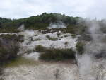 (191'181) - Im Wai-O-Tapu Thermal Wonderland am 23.