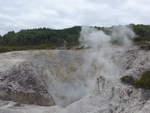 (191'192) - Im Wai-O-Tapu Thermal Wonderland am 23.
