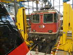 (240'528) - SBB-Lokomotive - Nr.