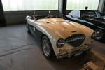 (286'185) - Austin - BL 207'058 - am 16. April 2026 in Muttenz, Pantheon