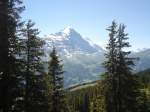(134'700) - Aussicht vom Waldspitz bei Grindelwald am 3.