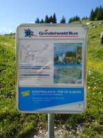 (134'782) - Grindelwald Bus-Haltestelle - Grindelwald, Oberer Lauchb�hl - am 3.