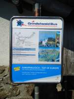 (134'793) - Grindelwald Bus-Haltestelle - Grindelwald, Grosse Scheidegg - am 3.