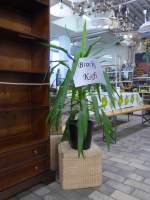 (155'296) - Spielwarenverkauf im BrockiShop am 20.