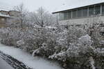(282'503) - Neuschnee am 11. November 2025 in Thun-Lerchenfeld