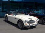 (180'878) - Austin-Healey - AG 228'375 - am 28.