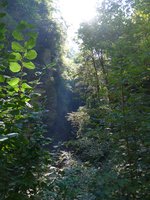 (175'194) - In der Areuse-Schlucht am 25.