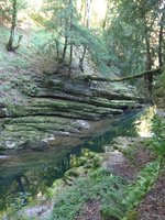 (175'202) - In der Areuse-Schlucht am 25. September 2016 bei Bourdry