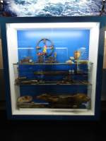 (146'435) - Schaukasten am 18.