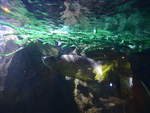 (190'461) - Im Sea Life am 19.