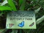 (211'508) - Hinweistafel zur Schmetterlingfarm im Danaus am 17.